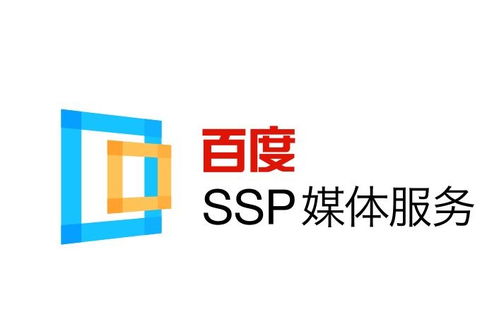 蜘蛛池程序哪个好用